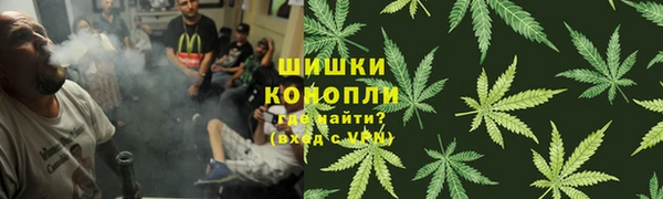 прущая мука Алзамай