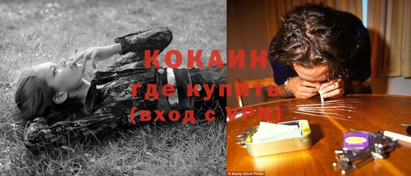твердый Алексеевка