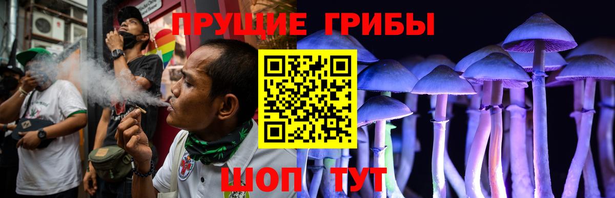 Псилоцибиновые грибы Psilocybe Грязи